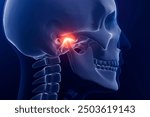 Temporomandibular joint, jaw pain 3d illustration