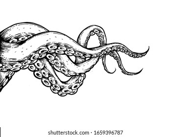 Tentacles hand draw on white background