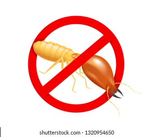 Termite In Prohibited Red Circle Sign Isolated On White Background, Logo Insects Termite, Termite Prohibition Symbol For Flat Icons Info Graphic, Illustration Termites Icon For Chemical Spray Products