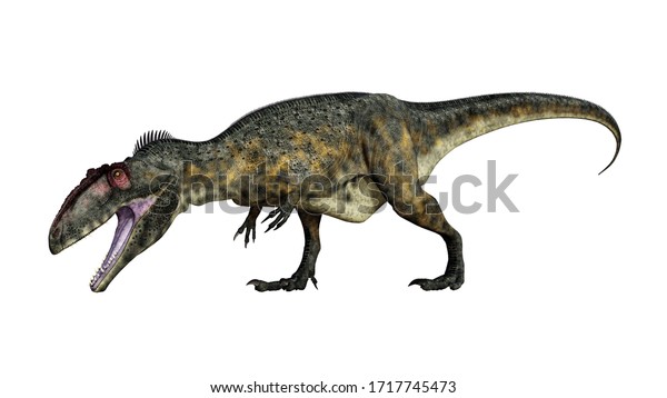 白い背景に恐ろしいギガノトサウルスの恐ろしい恐竜の吠える頭 3dレンダリング のイラスト素材