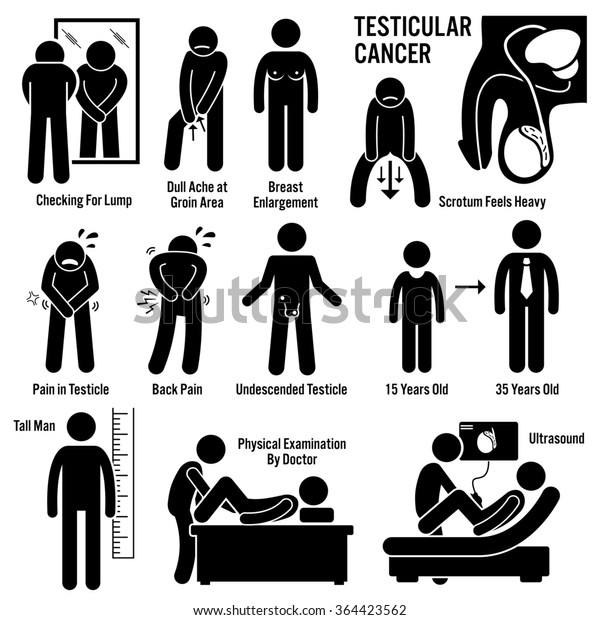 Testicular Testicles Testes Cancer Symptoms Causes Stock Illustration ...