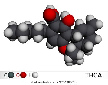 Tetrahydrocannabinolic Acid Thca Tetrahydrocannabinolate Molecule ...