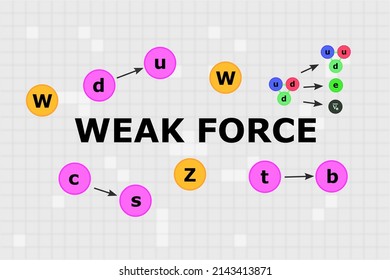 Text "Weak force" in the middle with W and Z bosons, neutron to proton change, and single quarks change around it.