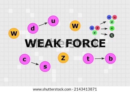 Text "Weak force" in the middle with W and Z bosons, neutron to proton change, and single quarks change around it.