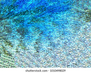   texture of animal fur, artistic design of blurring and light effects
                             - Shutterstock ID 1010498029