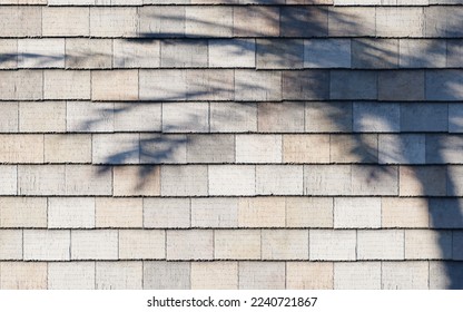 texture background wallpaper concept 3d render illustration abstract shadow tree sunset sunlight 