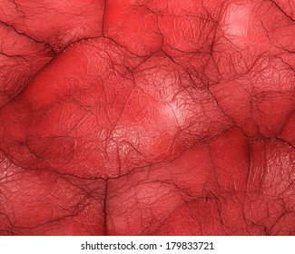 Texture Of A Blood Vessel.