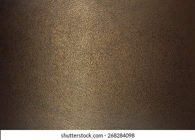 texture bronze color leather close-up horizontal position