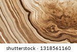 Texture of roots of tree with wavy lines and age rings. Pattern of rings of a tree. Abstract texture and background. 2d illustration