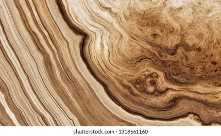 Texture of roots of tree with wavy lines and age rings. Pattern of rings of a tree. Abstract texture and background. 2d illustration