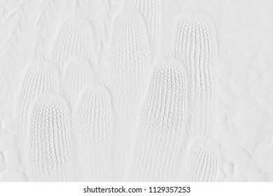 Textures Of Embossed Cactus On Background Grey