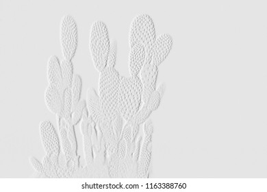 Textures Of Embossed Cactus With Space