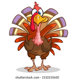 Turkey Colored Turkey Cartoon Turkey Stock Vector (Royalty Free) 1679853919