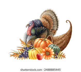 Thanksgiving festive cornucopia with turkey bird, pumpkins, autumn leaves. Harvest cornucopia with pumpkins watercolor painted illustration. Autumn season thanksgiving vintage style decoration - Powered by Shutterstock