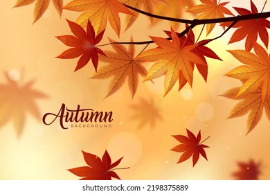 Thanksgiving Realistic Autumn Leaves Fall Background