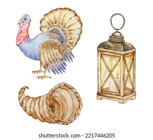 Thanksgiving Watercolor Elements, Cornucopia, Turkey And Lantern Isolated