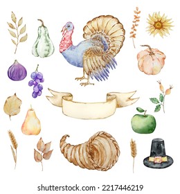 Thanksgiving Watercolor Elements, Cornucopia, Turkey And Pumpkins Isolated