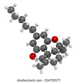 THC (delta-9-tetrahydrocannabinol, dronabinol) cannabis drug molecule. Atoms are represented as spheres with conventional color coding: hydrogen (white), carbon (grey), oxygen (red).