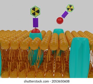 Theranostic radiopharmaceuticals. A radionuclide is combined with a targeting vector (Binding molecule) in 3d rendering