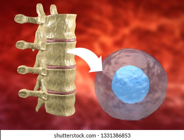 Therapy With Stem Cells Taken From The Bone Marrow To Treat Diseases Of The Human Body. 3D Rendering