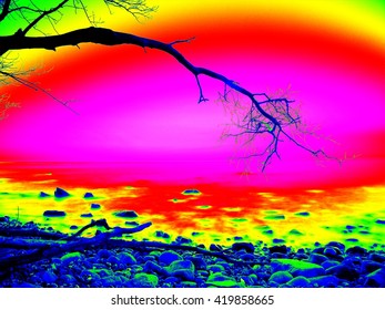 Thermography measurement, changed colors of ultra violet light. Bended branches above warm sea level.