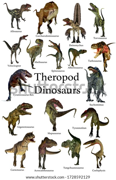 Theropod Dinosaurs 3D illustration - A\
collection set of Theropod carnivorous dinosaurs from the\
Cretaceous, Jurassic and Triassic\
Periods.
