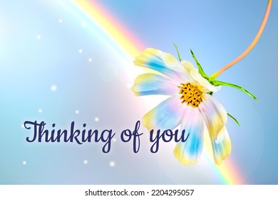 Thinking of you - card. Rainbow sky. Cosmos flower. - Powered by Shutterstock