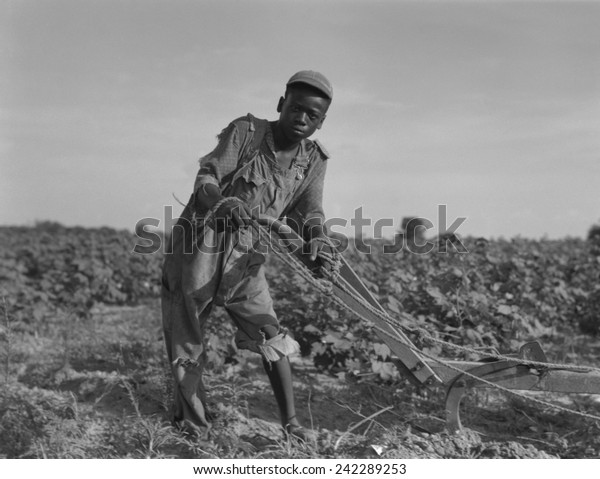 Thirteenyear Old African American Sharecropper Boy Stock Illustration 