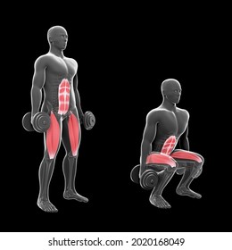 This 3d Illustration Shows  An Xray Man Performing Double Dumbbell Squat On A Black Background