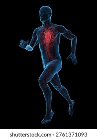 This 3D x-ray render shows the heart and arteries of a male runner on a black background, circulatory pathways clearly glowing in anatomical study