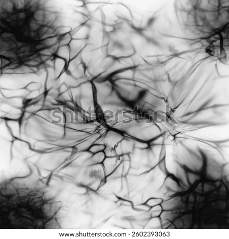 This abstract black-and-white image features intricate, branching lines that resemble neural networks, veins, or tangled roots. The organic, web-like structures spread across a light, blured
