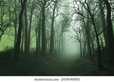 This captivating image captures a mist-filled forest pathway at dawn, evoking a sense of mystery, serenity, and connection with nature's untouched beauty.