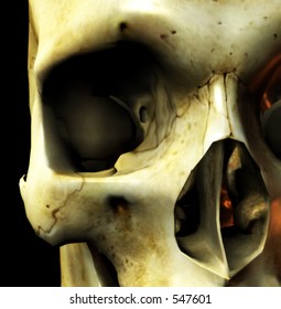 This is an computer generated image of a skull.