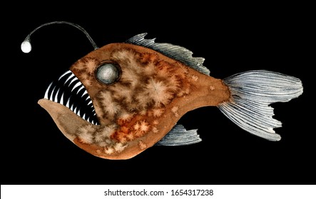 This is deep sea angler  Such fish can be caught in deep sea fishing  Watercolor illustration an isolated black background  watercolor illustration  hand drawing