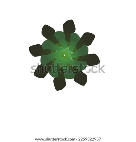 this flower is very beatiful and fragrant