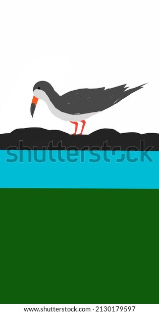 This is an\
illustration of a skimmer bird. This beautiful migratory bird can\
fly on water surface for catching fish. It\'s upper part of beak is\
shorter than its lower part of its beak.\
