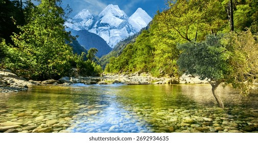 This image captures a breathtaking view of a clear mountain stream flowing through a lush gorge. The water is remarkably transp