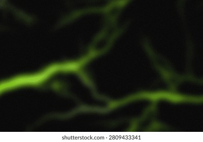 This image captures an eerie and captivating scene of bioluminescent vines emitting a soft green glow in a dark, possibly forested environment. The vines appear to intertwine and curve naturally, creating an almost ethereal and mysterious ambiance. The vivid contrast between the glowing vines and the surrounding darkness highlights the natural phenomenon of bioluminescence, giving the scene an otherworldly feel. The lighting effect suggests a nighttime or heavily shaded setting, enhancing the enchanting and slightly surreal quality of the image.