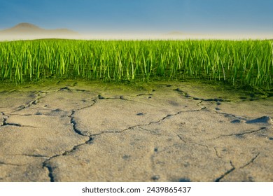 This image captures the sharp contrast between vibrant green grass and parched, cracked earth, symbolizing the pressing issues of climate change and environmental sustainability.