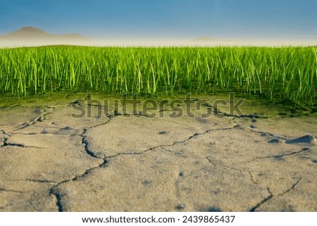 This image captures the sharp contrast between vibrant green grass and parched, cracked earth, symbolizing the pressing issues of climate change and environmental sustainability.