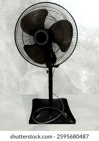 This photo has good composition, with the fan as the main focus and a non-distracting background.