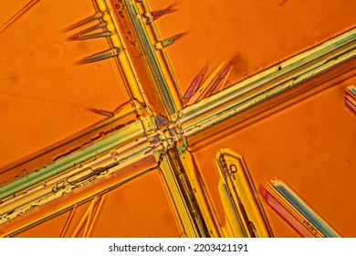 This Is A Picture Of The Crystals Of The Chemical Substance Sodium Platoon Cyanide Made By A Microscope In Polarized Light.