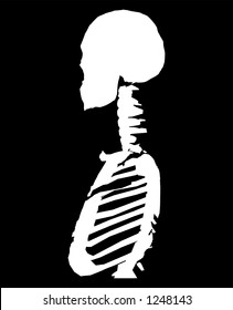 This is a skeleton in a pose.