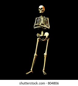 This Skeleton Standing Pose Stock Illustration 804806