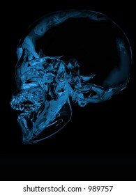 This is a skull.