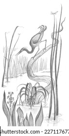 This vertical pencil drawing shows snowy egret  in the swampy everglades  stalking fish   frogs  from its cypress tree perch   Air plants  saw  grass    water hyacinths grow in the flowing water 