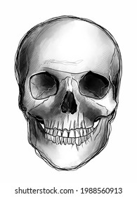 This Is A Watercolor Skull