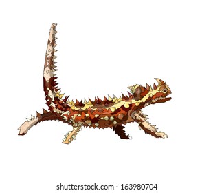 Thorny Devil