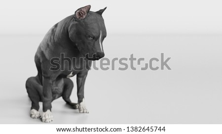Thoughtfull Pitbull looking down while sitting down 3d rendering