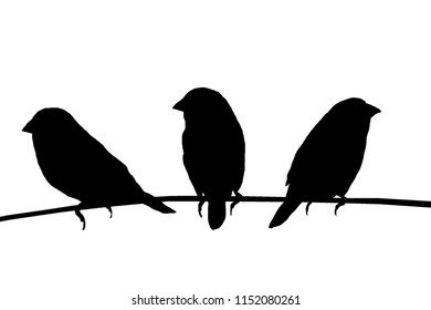 Bird Illustration Three Wire Images, Stock Photos & Vectors 